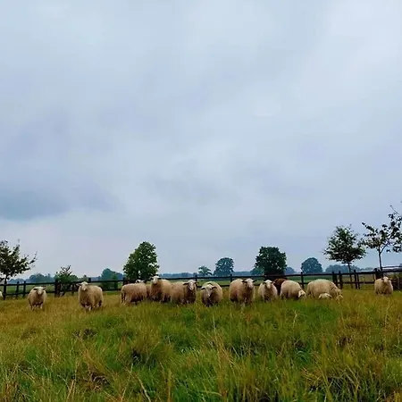 De Beredoezen - Sfeervolle Vakantiewoning In De Gezellige Kempen Retie